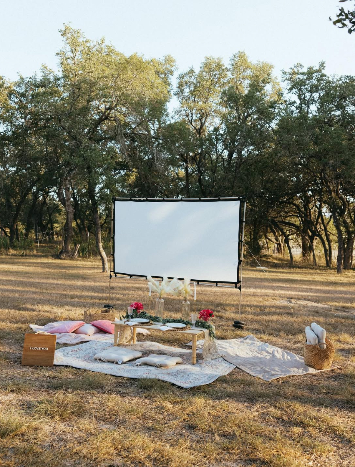 Movie Night Under the Stars
